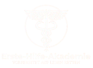 Erste Hilfe Kurs in Hildesheim - Logo der Firma